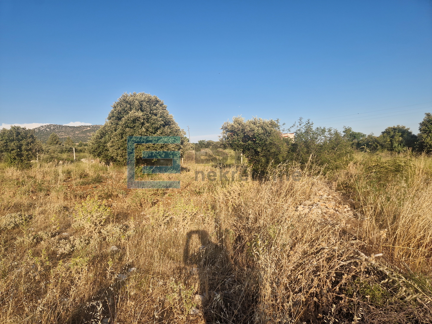 Građevinsko zemljište PRODAJA Kakma, Polača, 483 m2