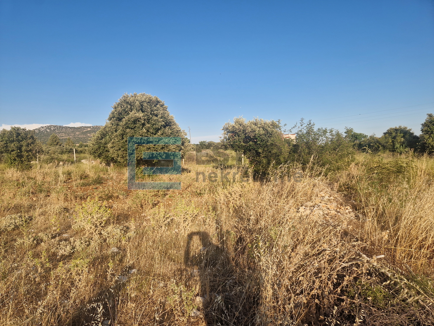 Građevinsko zemljište PRODAJA Kakma, Polača, 480 m2