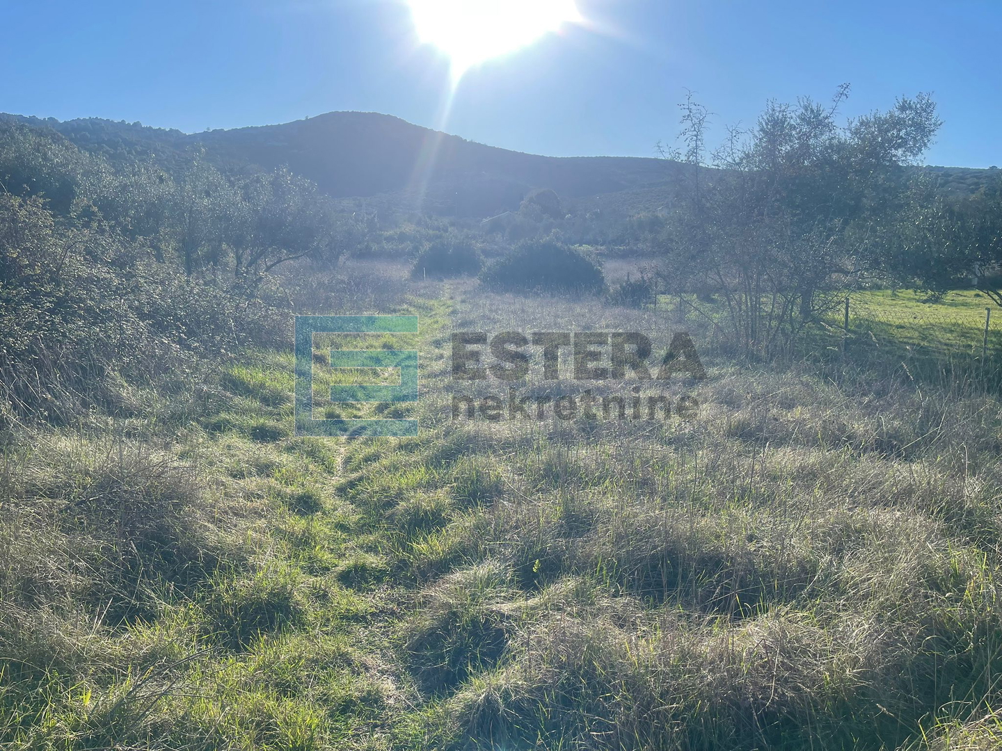 Građevinsko zemljište PRODAJA Mrljane, otok Ugljan 857 m2, 300 do mora