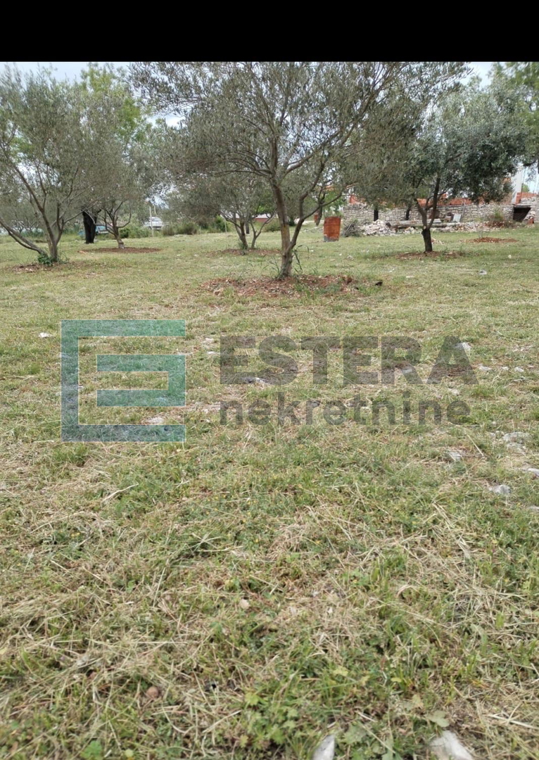 Građevinsko zemljište PRODAJA, Šopot, Benkovac 1500 m2