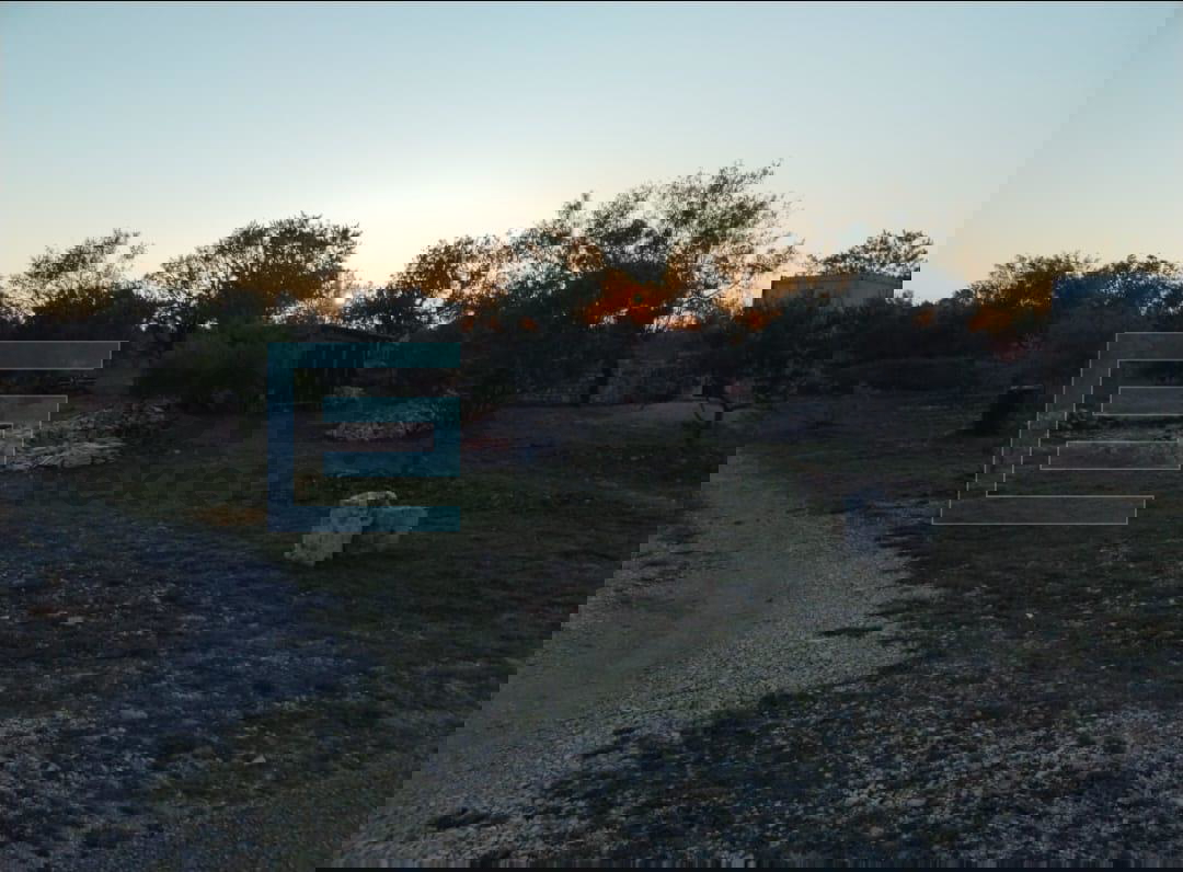 Građevinsko zemljište PRODAJA, Šopot, Benkovac 1500 m2