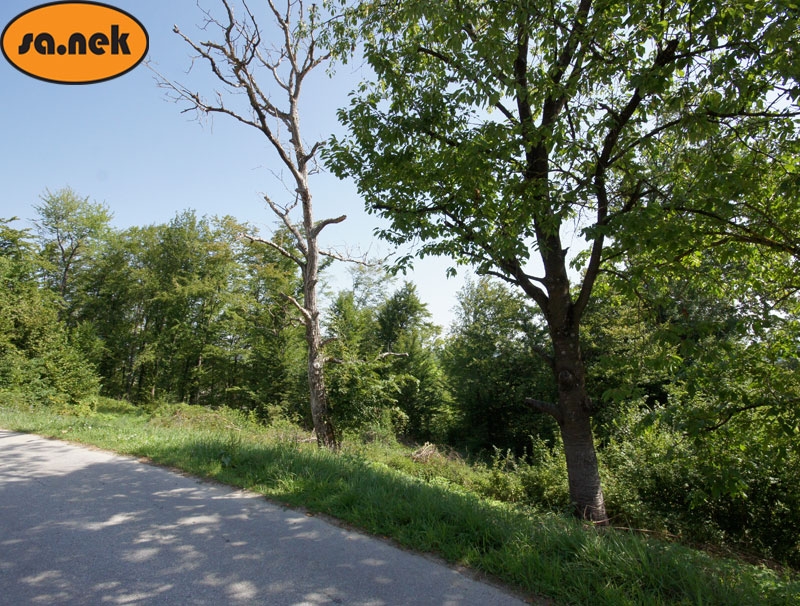 Gradilište - Bregana