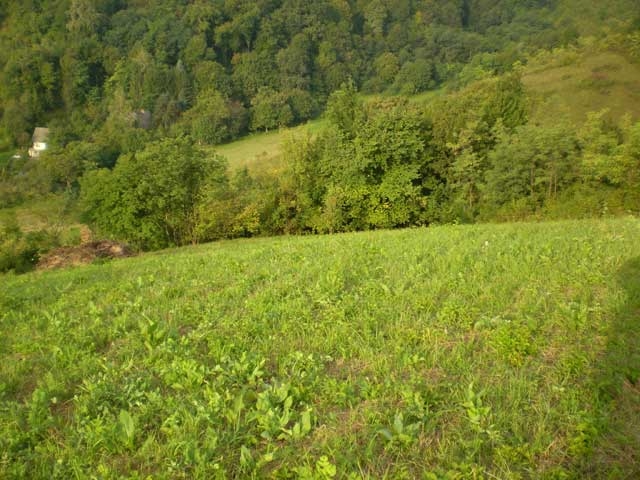 Poljoprivredno zemljište na Svetonedeljskom Bregu