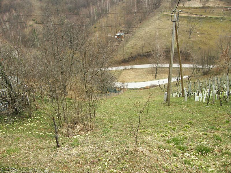 Vikend gradilište na Slanom Dolu