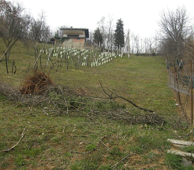 Vikend gradilište na Slanom Dolu