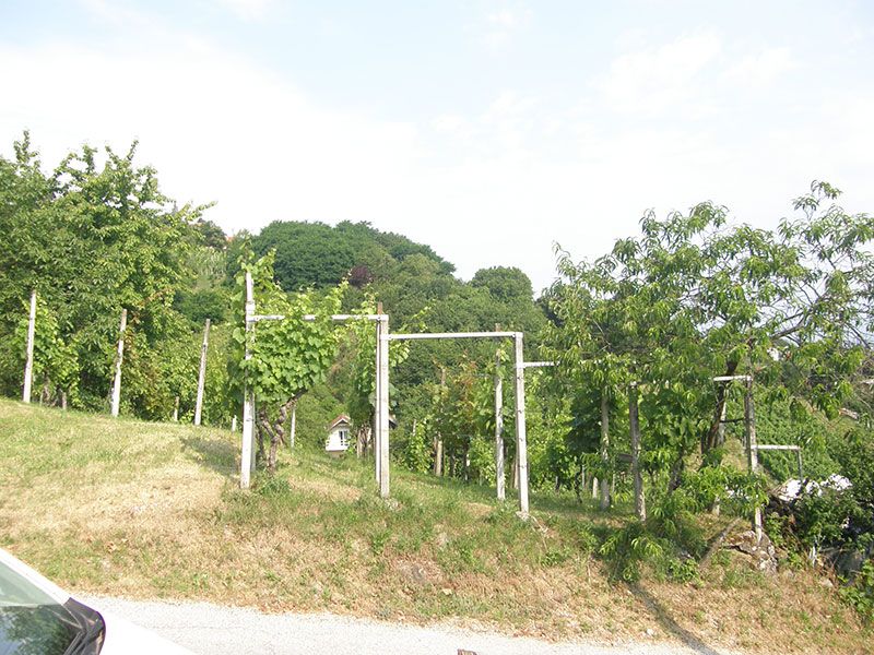 Zemljište na Jelenščaku - Samobor