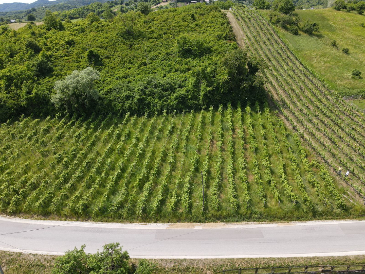 Građevinsko zemljište - Sveta Jana