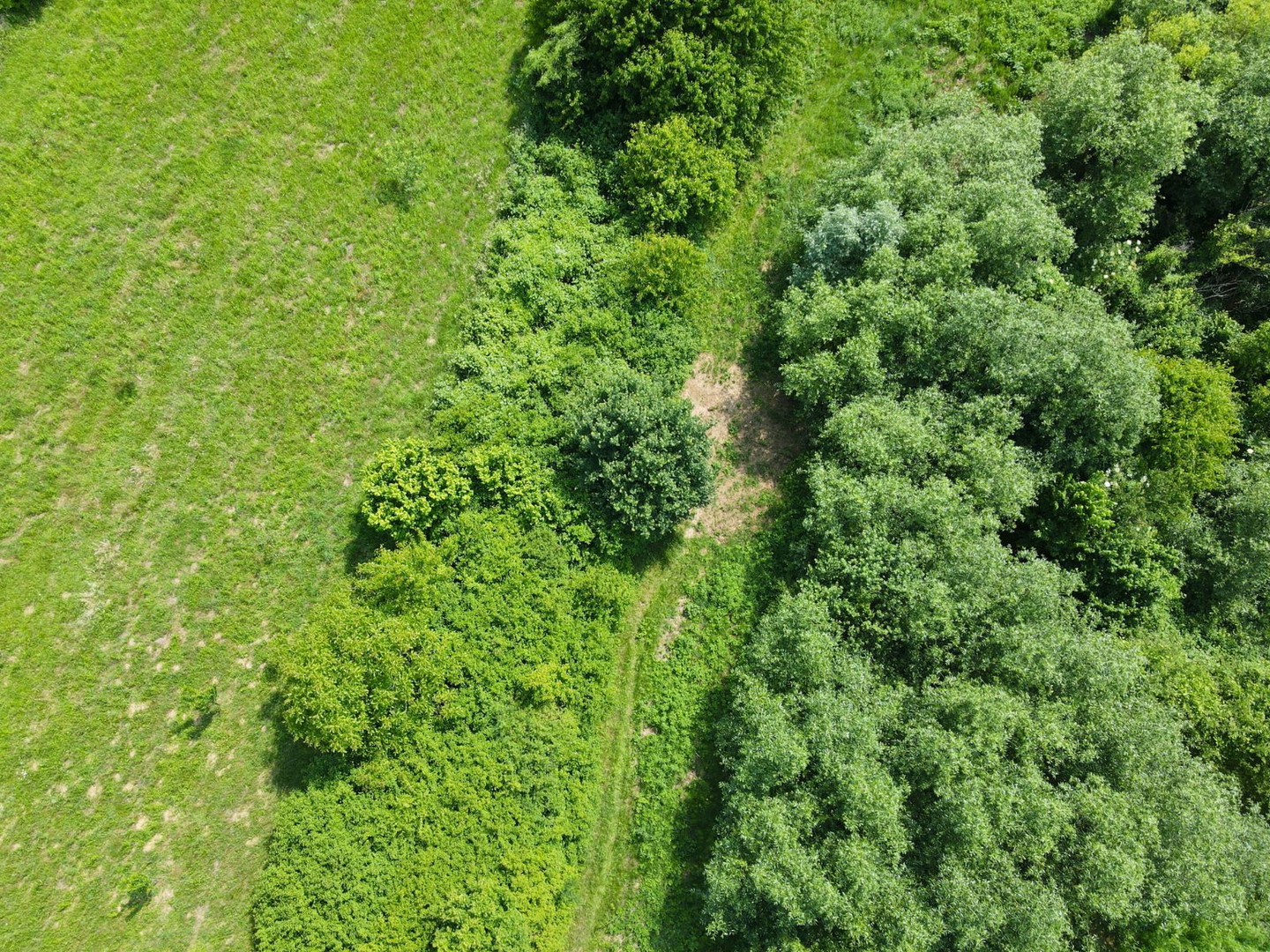 Poljoprivredno zemljište u Svetoj Jani