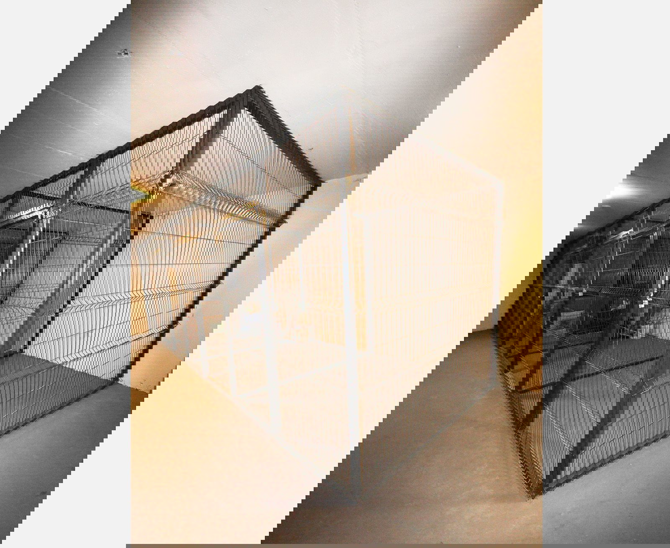 Luksuzni četverosobni penthouse- novogradnja