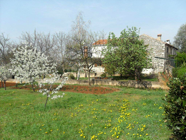 Zemljište sa starom kamenom kućom