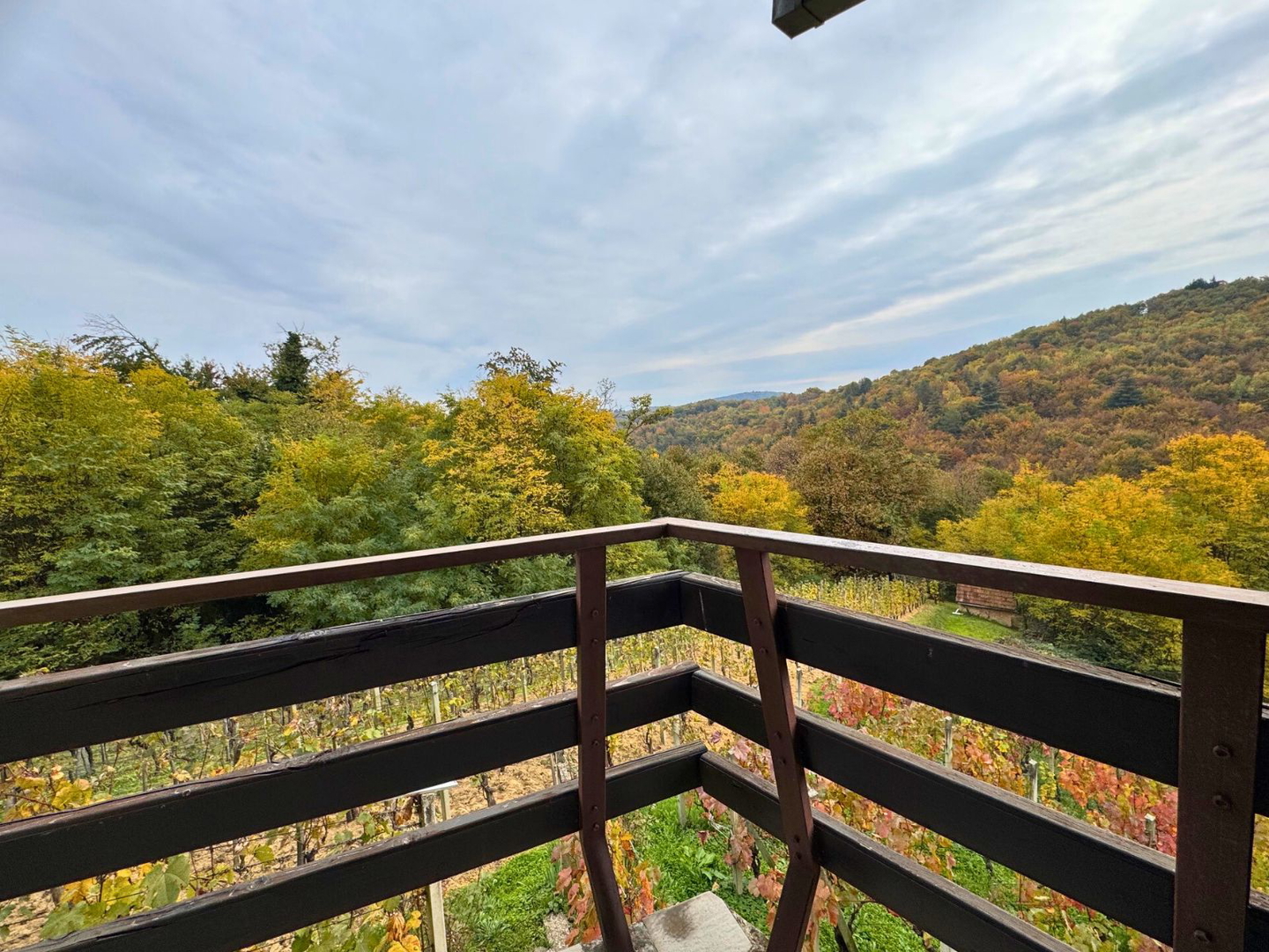 Vikendica s vinogradom u okolici Samobora