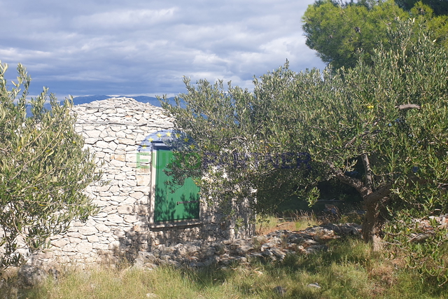 Grundstück mit Olivenhain und Meerblick, 20.000 m2