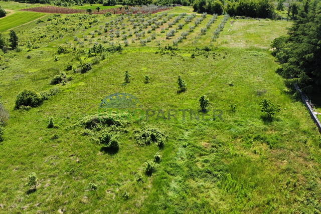 Terreno, 5000 m2, Vendita, Višnjan - Barići