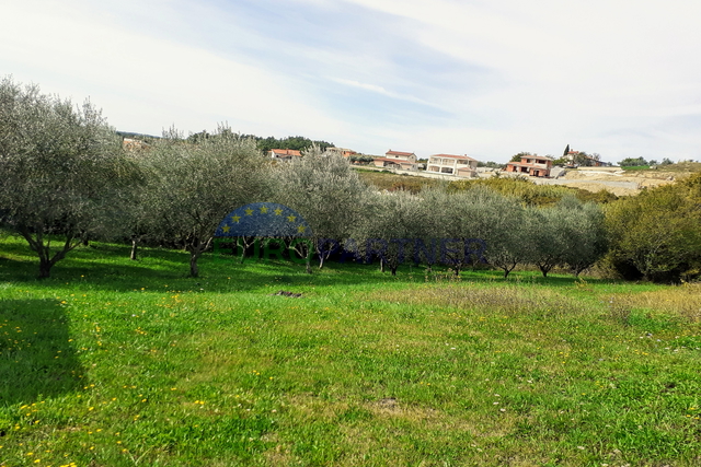 Terreno, 1240 m2, Vendita, Vižinada