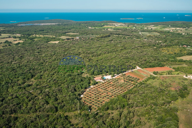 Terreno, 9045 m2, Vendita, Rovinj