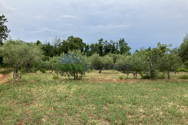 Terreno, 1694 m2, Vendita, Poreč