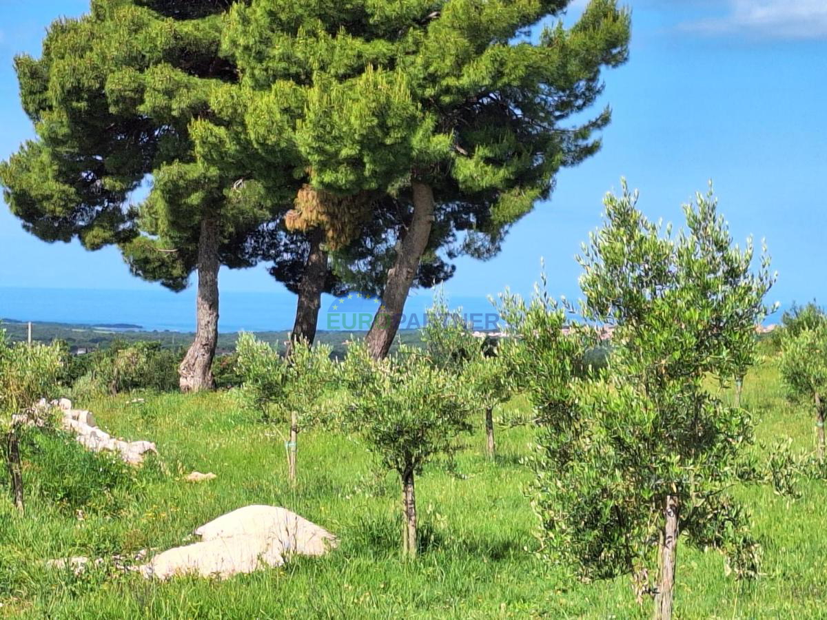 Istrien, schönes Steinhaus in der Nähe von Porec