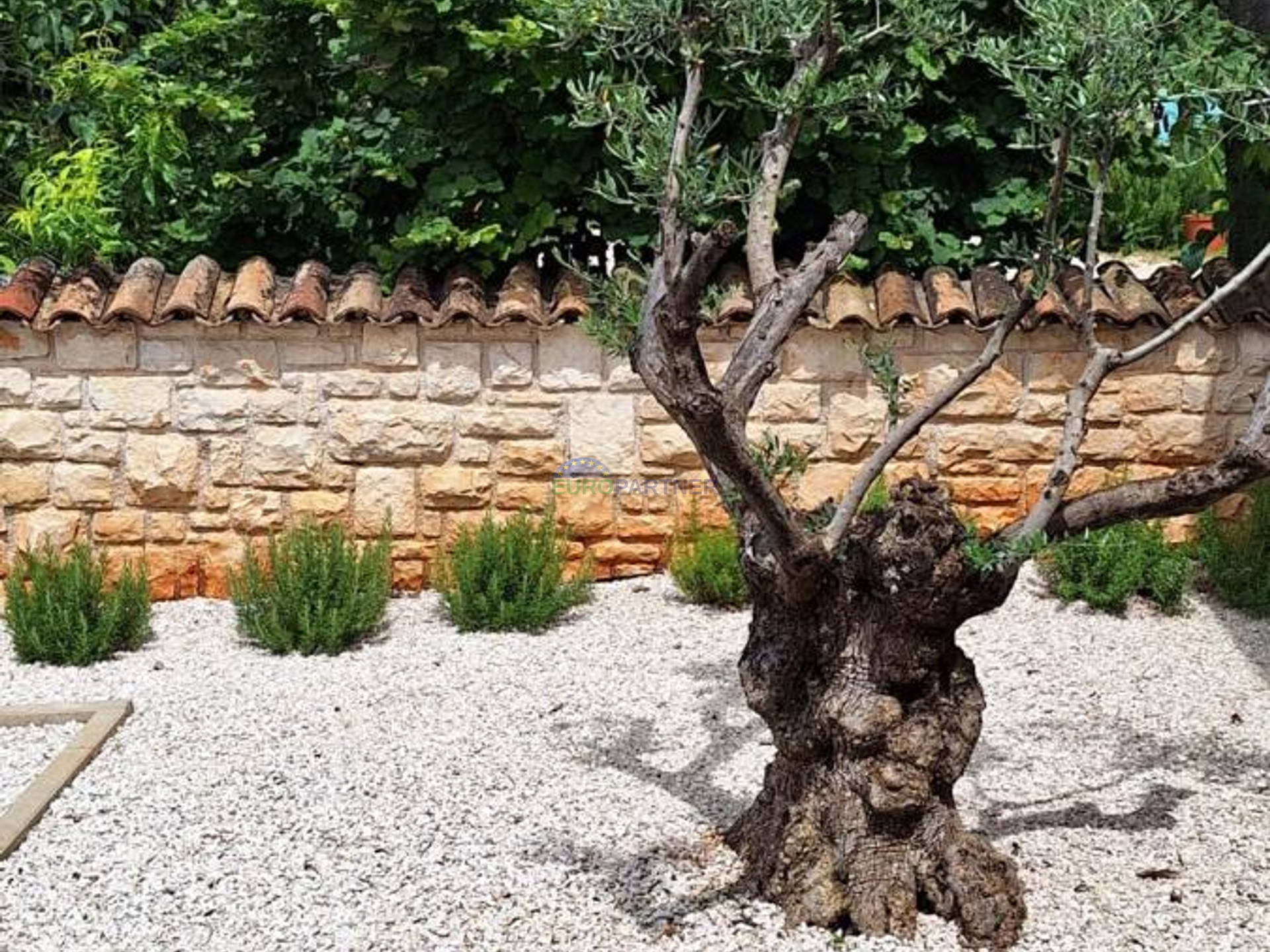 Istrien, schönes Steinhaus in der Nähe von Porec