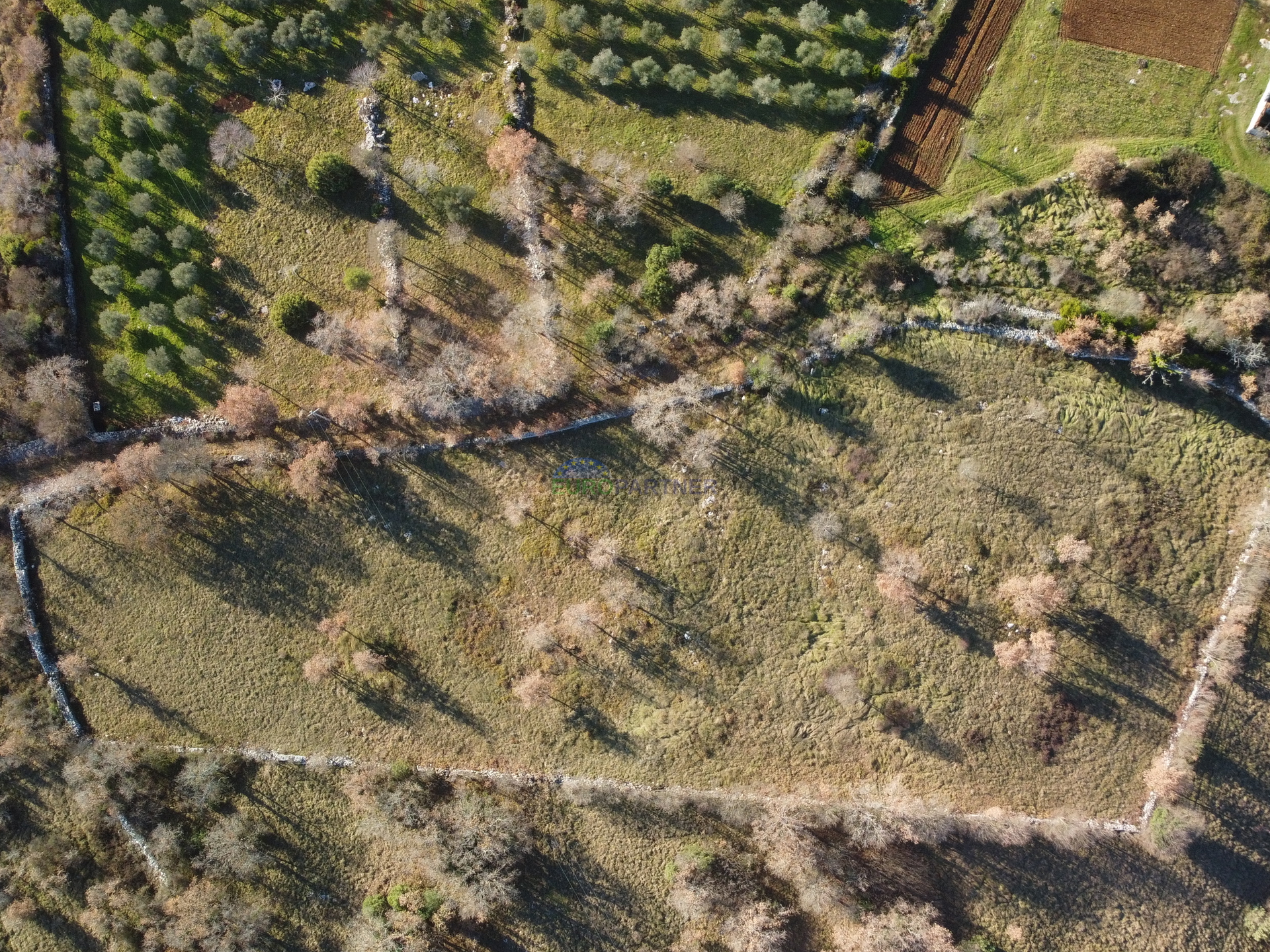 Wunderschönes Grundstück, 5892m2 Bauland + 3562m2 landwirtschaftliches Grundstück, 10km von Poreč.