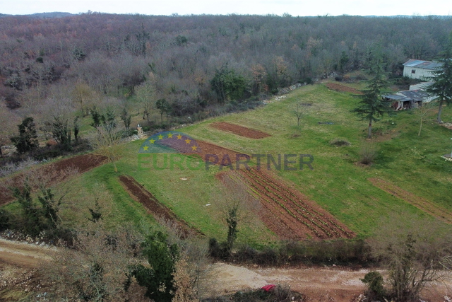 Splendido terreno ai margini della zona edificabile, Višnjan