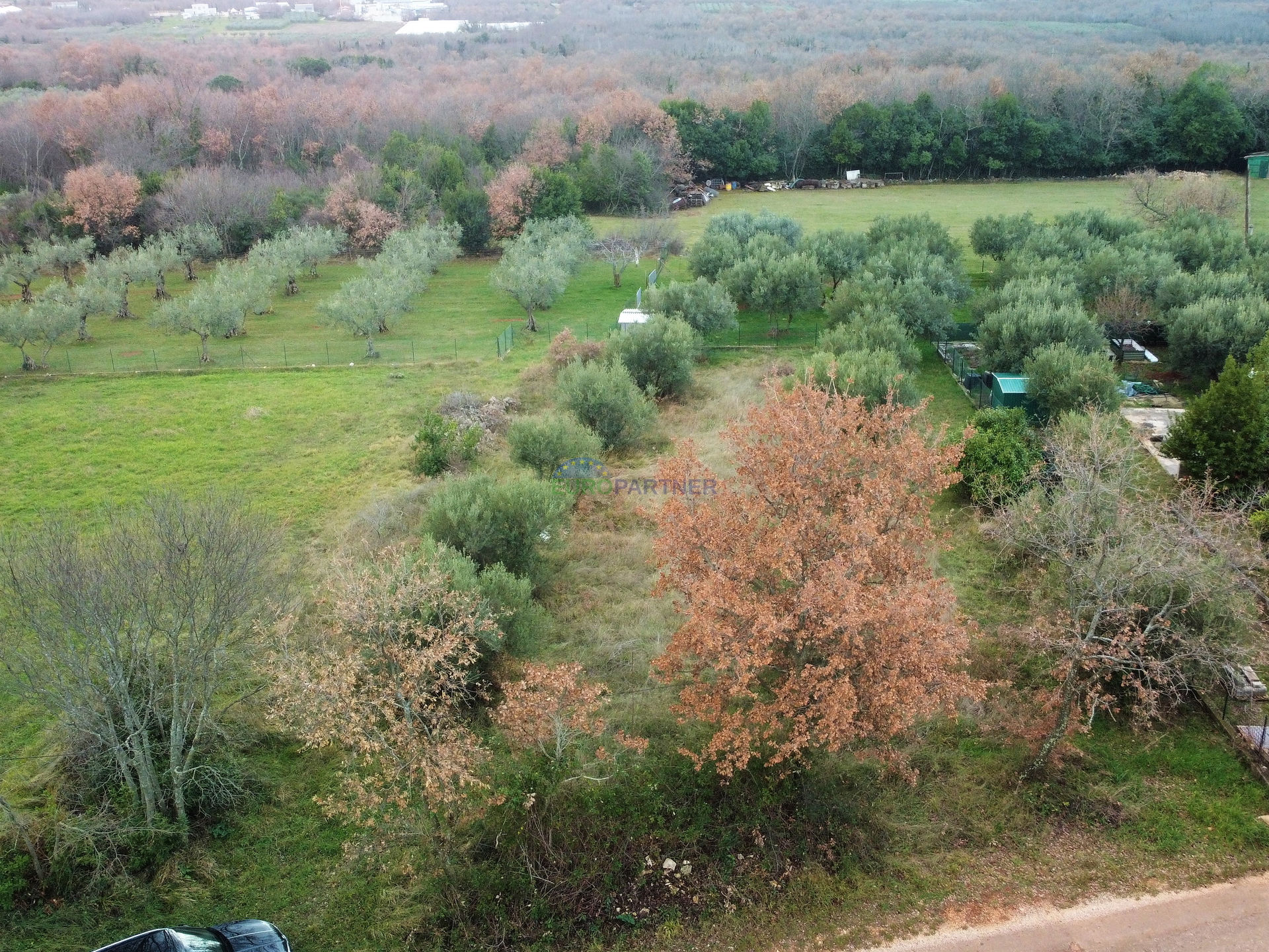 Terreno edificabile con vista sugli uliveti, nei dintorni di Poreč.