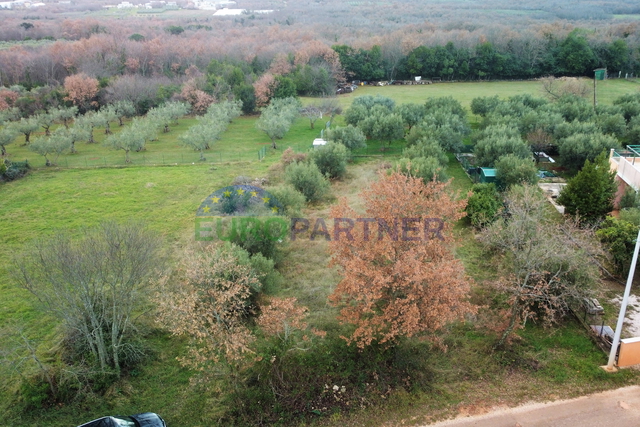 Building land with a view of olive groves, surrounding Poreč.