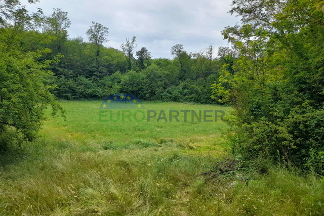 Istra, Poreč, Baderna, poljoprivredno zemljište