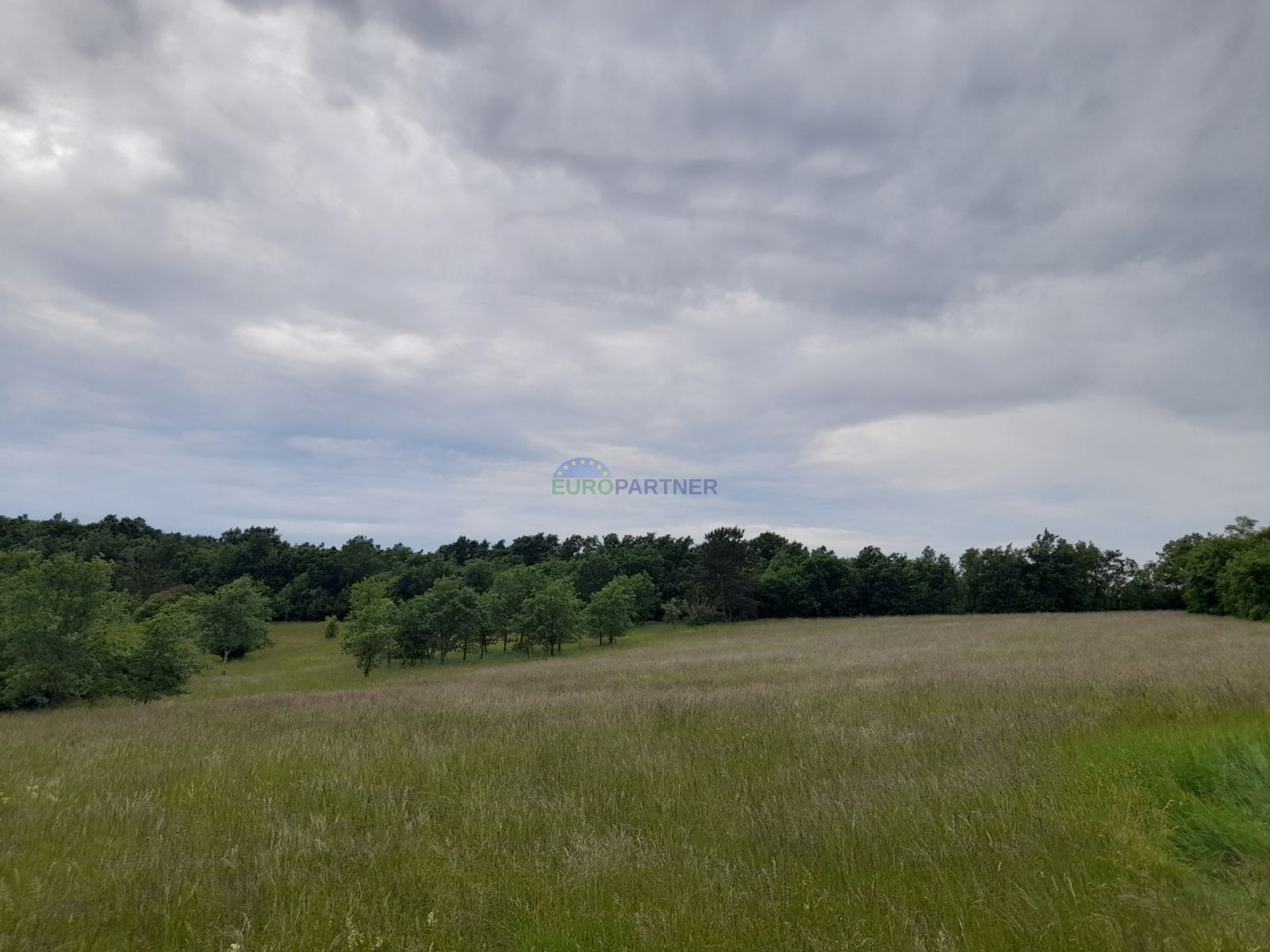 Istra, Poreč, Baderna, poljoprivredno zemljište