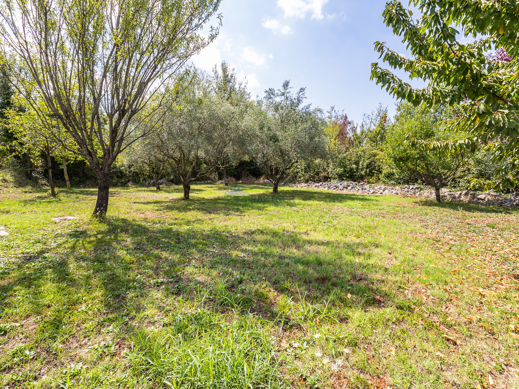 House with a swimming pool and large yard, 10 km from Poreč