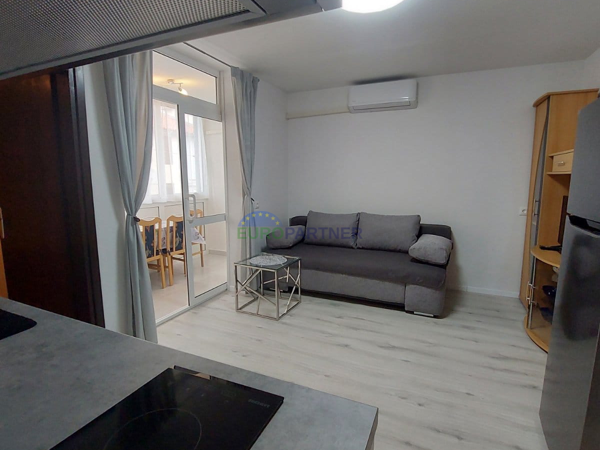 Apartment 100m from the sea, surrounding area of Poreč