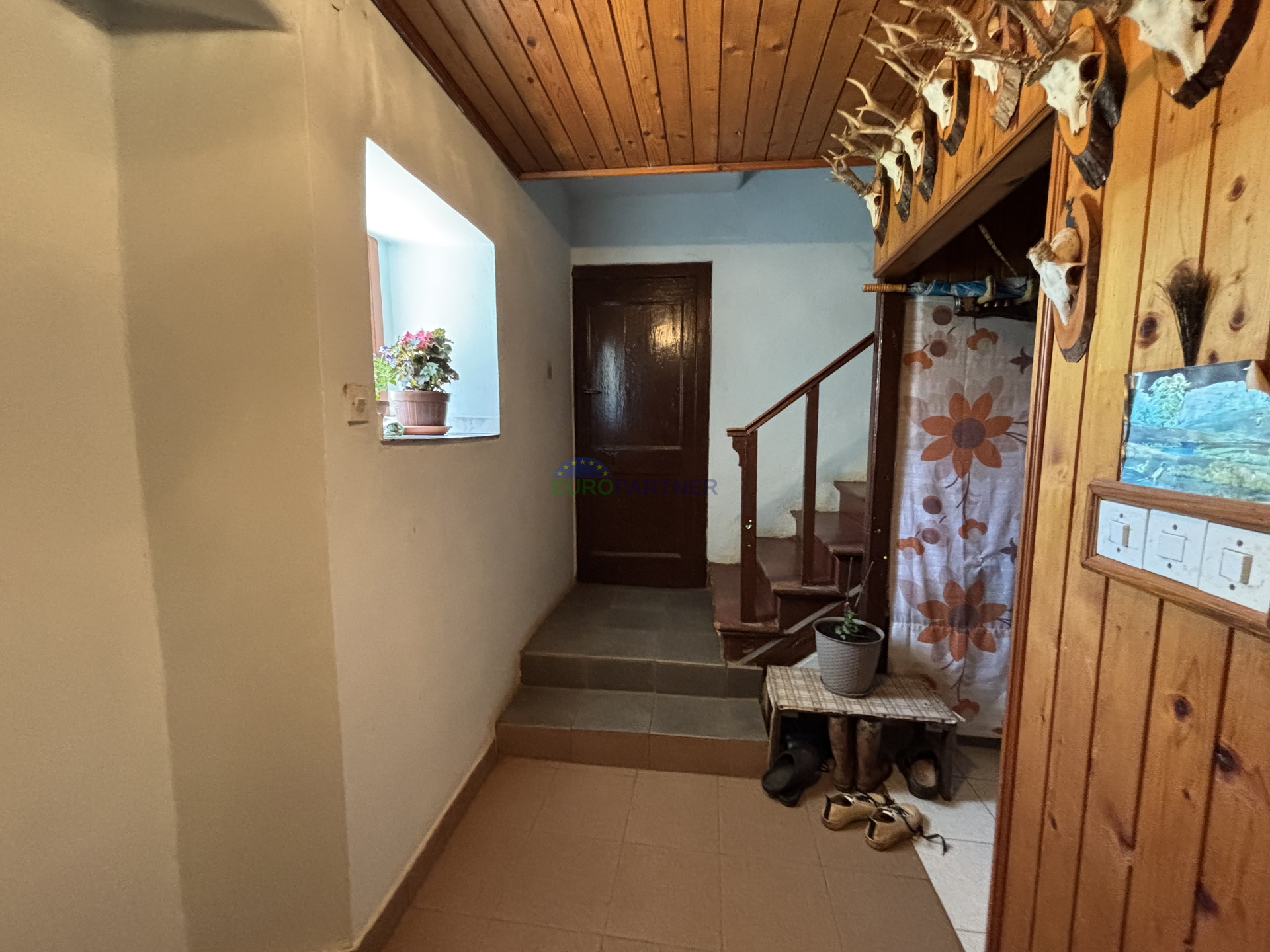Istra, Novigrad, starina u okolici Novigrada