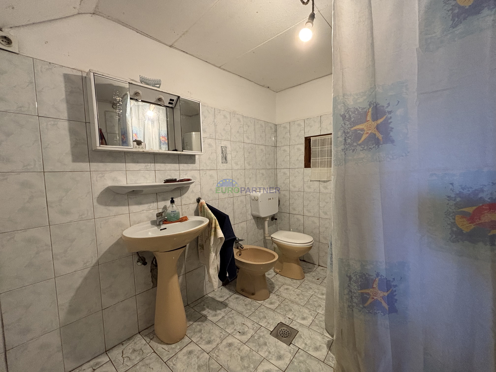 Istra, Novigrad, starina u okolici Novigrada