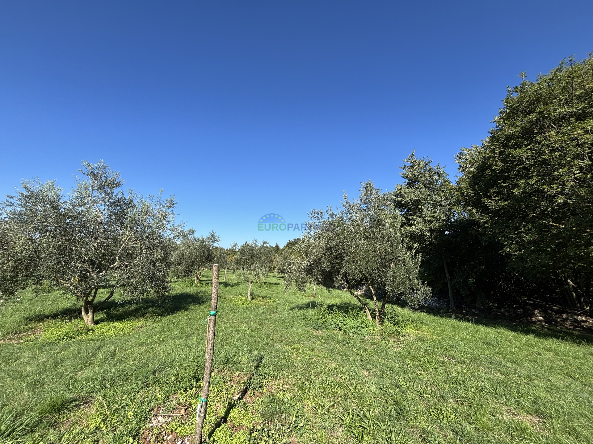 Istrien, Žminj, attraktives Grundstück 50.000,00 m² mit Bau- und landwirtschaftlicher Nutzung