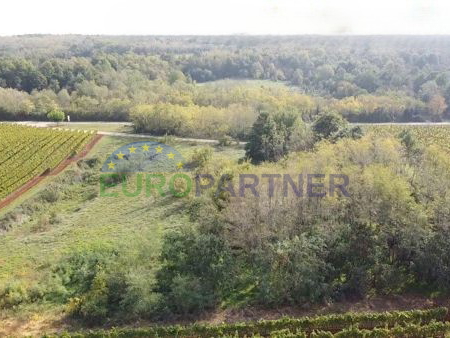 Istra, poljoprivredno zemljište na rubu građevinske zone