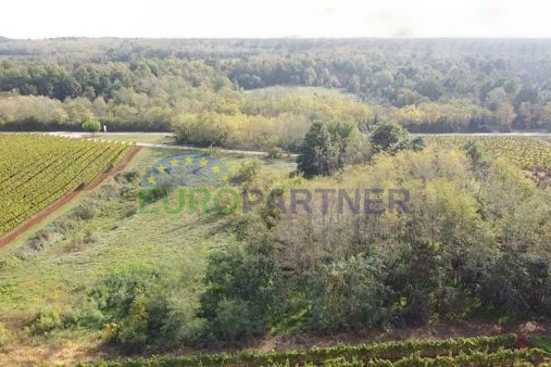 Istra, poljoprivredno zemljište na rubu građevinske zone