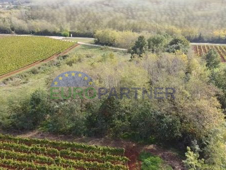 Istra, poljoprivredno zemljište na rubu građevinske zone