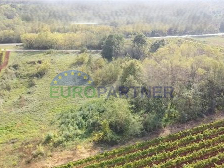 Istra, poljoprivredno zemljište na rubu građevinske zone