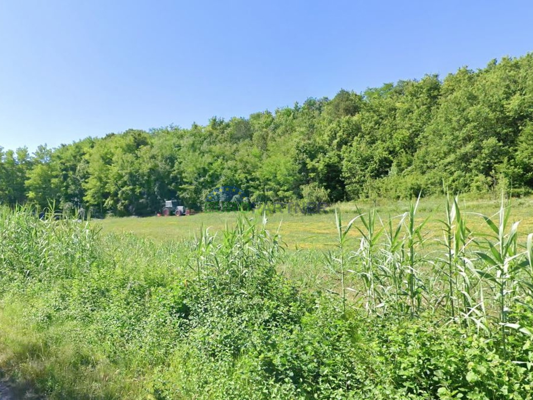 Građevinsko i poljoprivredno zemljište s pogledom na Motovun