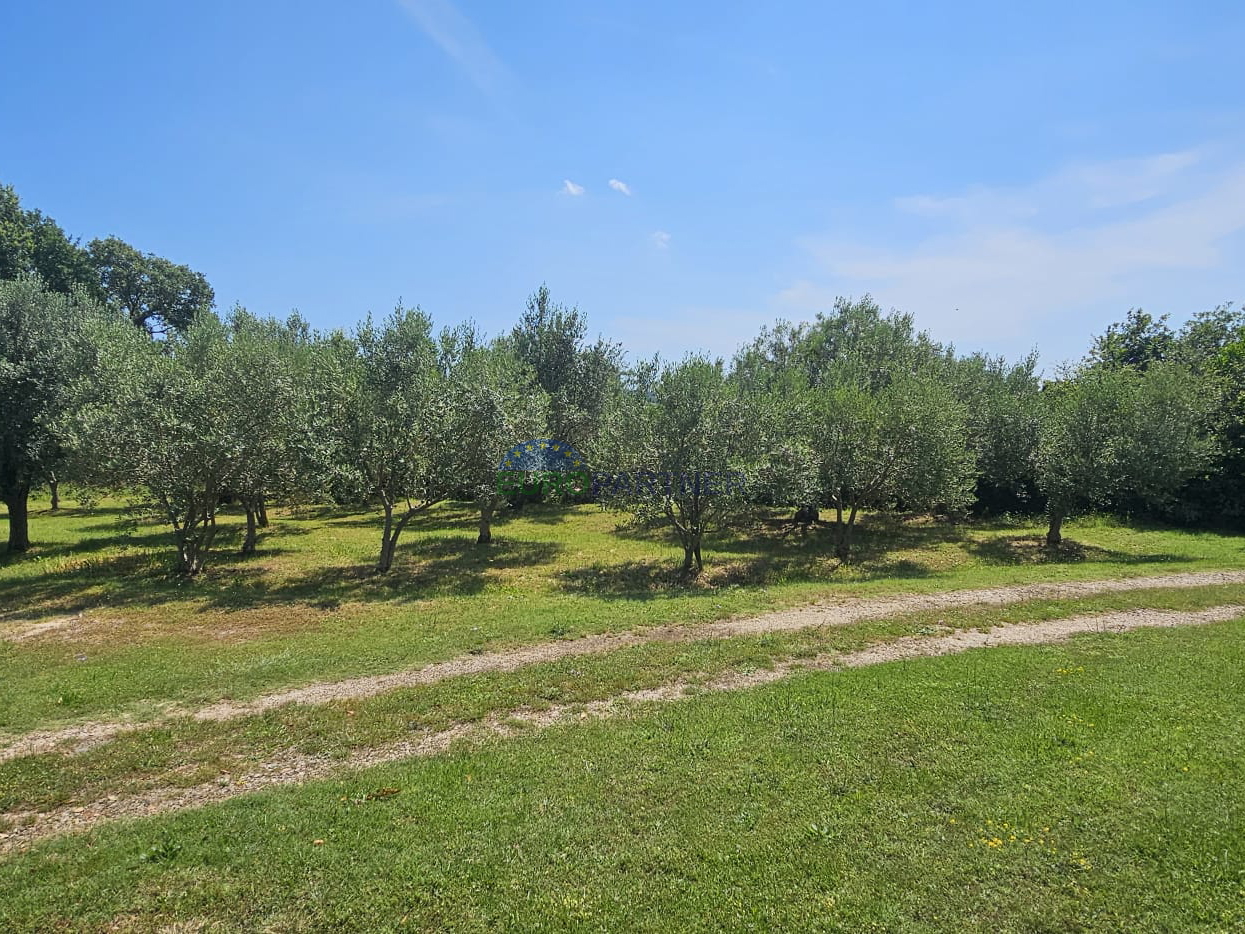 Zu verkaufen ist ein Baugrundstück mit landwirtschaftlicher Parzelle in der Umgebung von Pula.