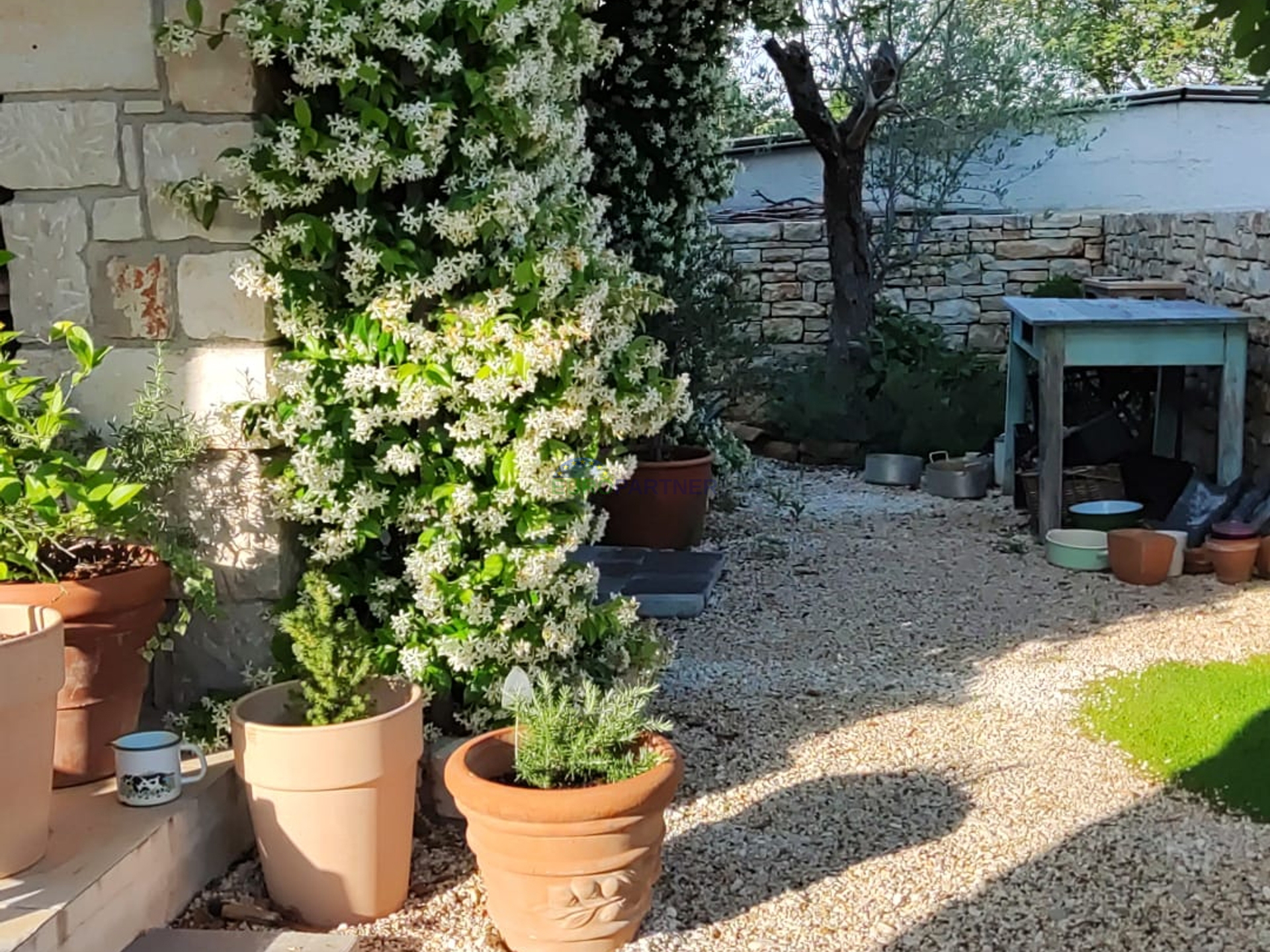 Istra, Svetvičenat, prekrasna kuća sa bazenom