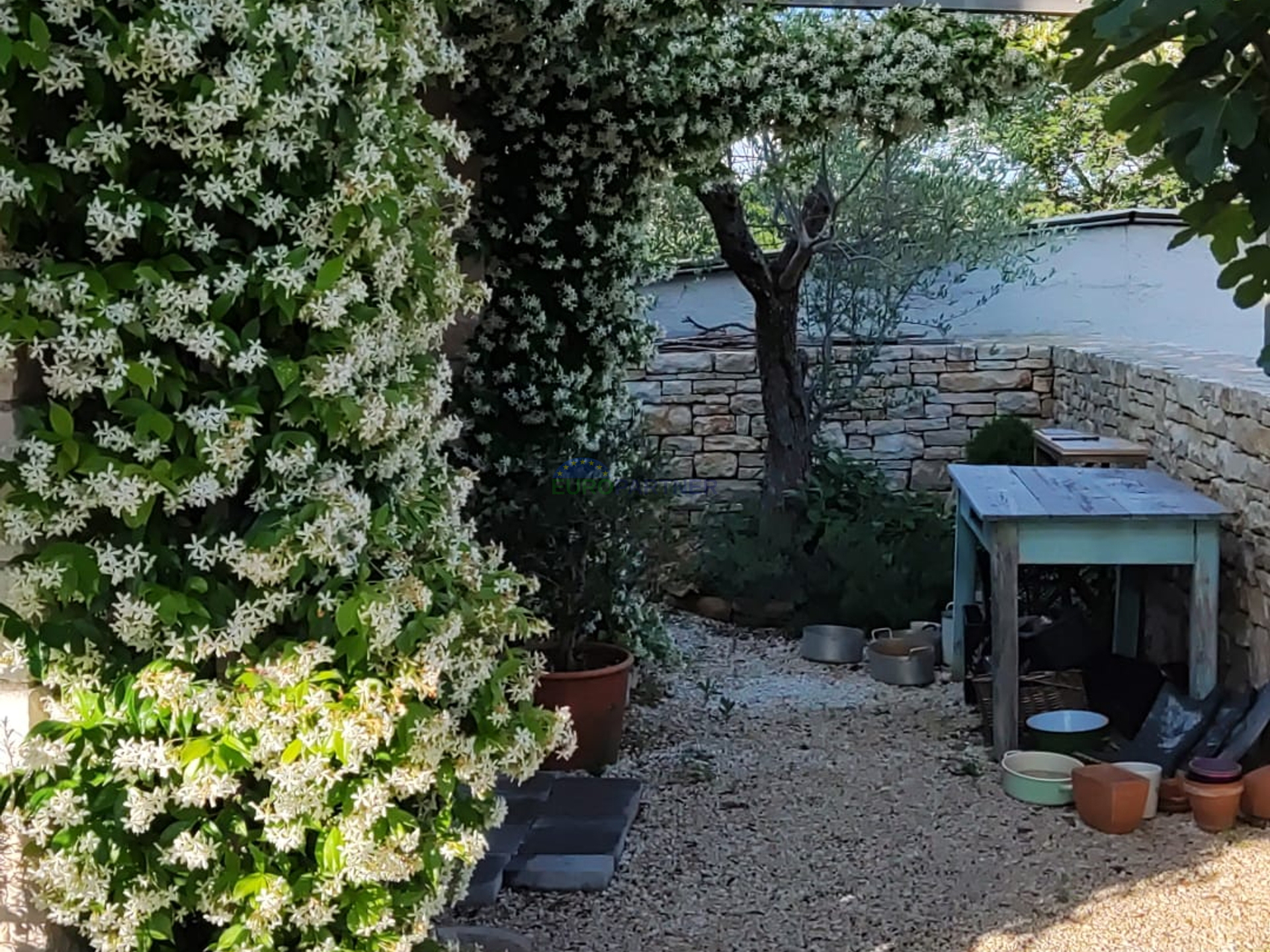 Istra, Svetvičenat, prekrasna kuća sa bazenom