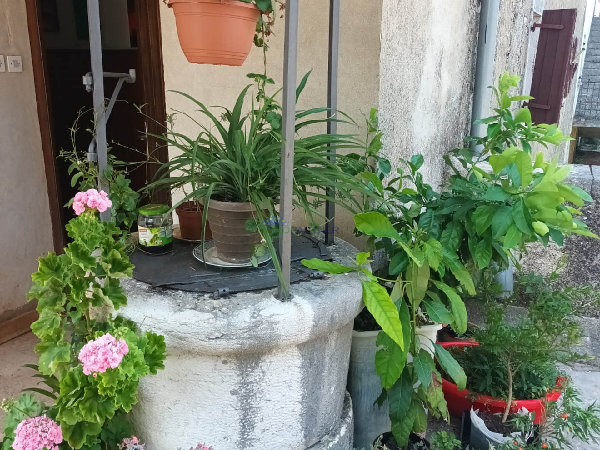 Istria, Sveti Lovreč, house with a yard