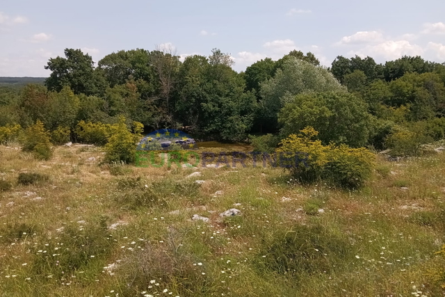 Istria, Bale, terreno agricolo
