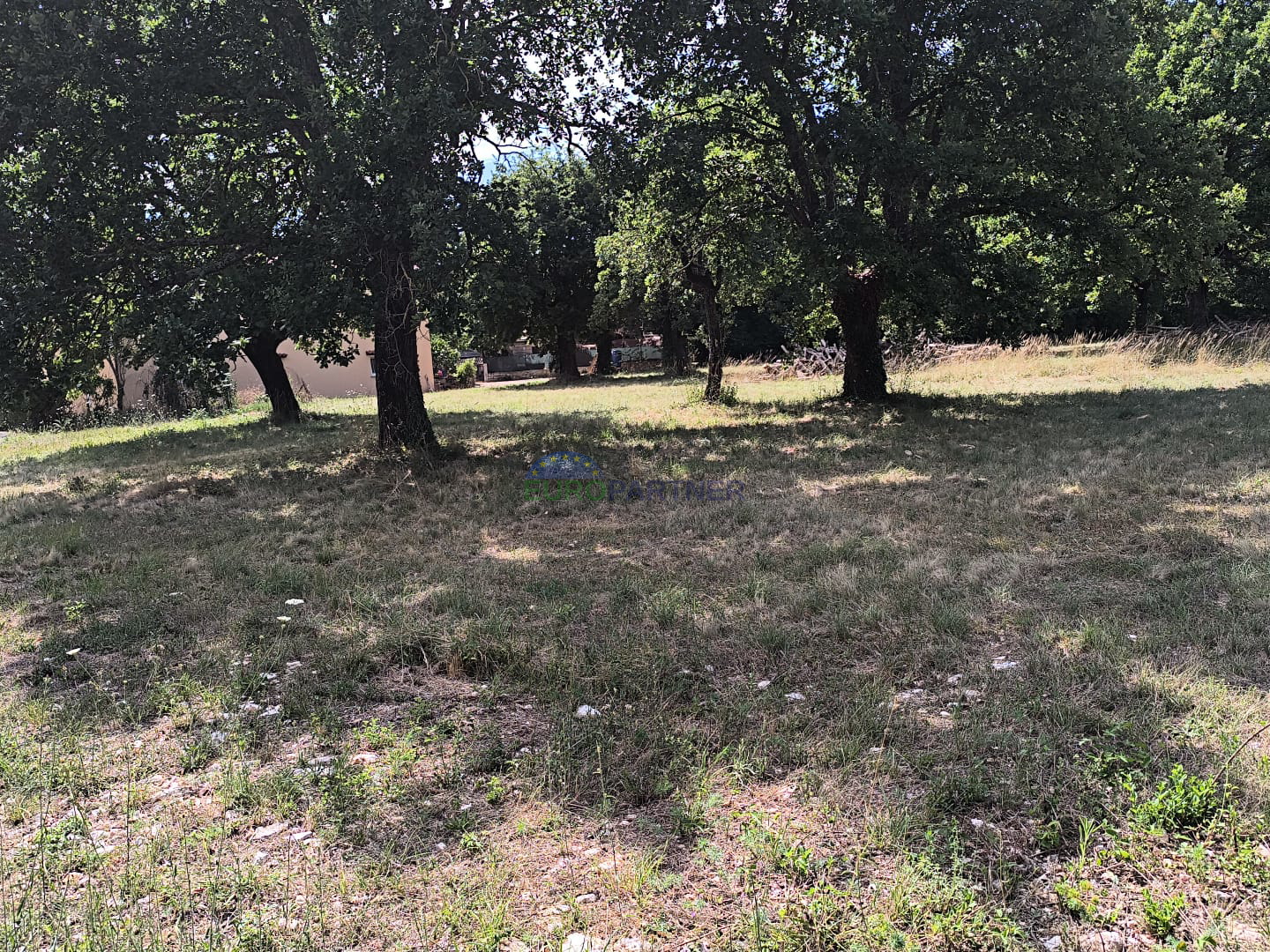 Istra, Višnjan, građevinsko zemljište sa ishodovanom građevinskom dozvolom