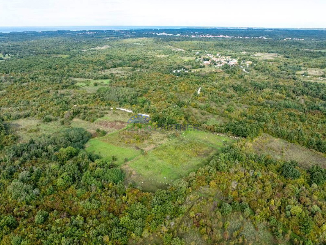 Istra, Poreč, terreno agricolo in posizione attraente