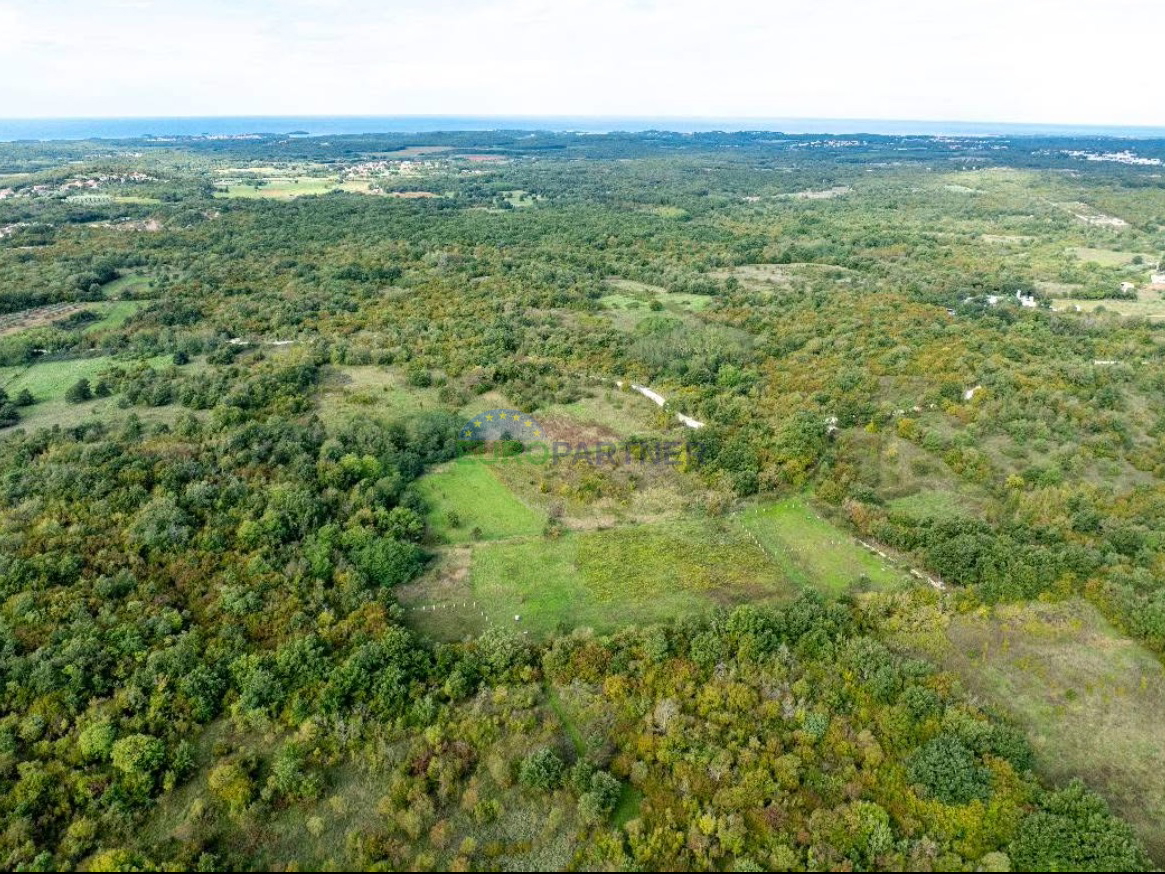 Istra, Poreč, terreno agricolo in posizione attraente