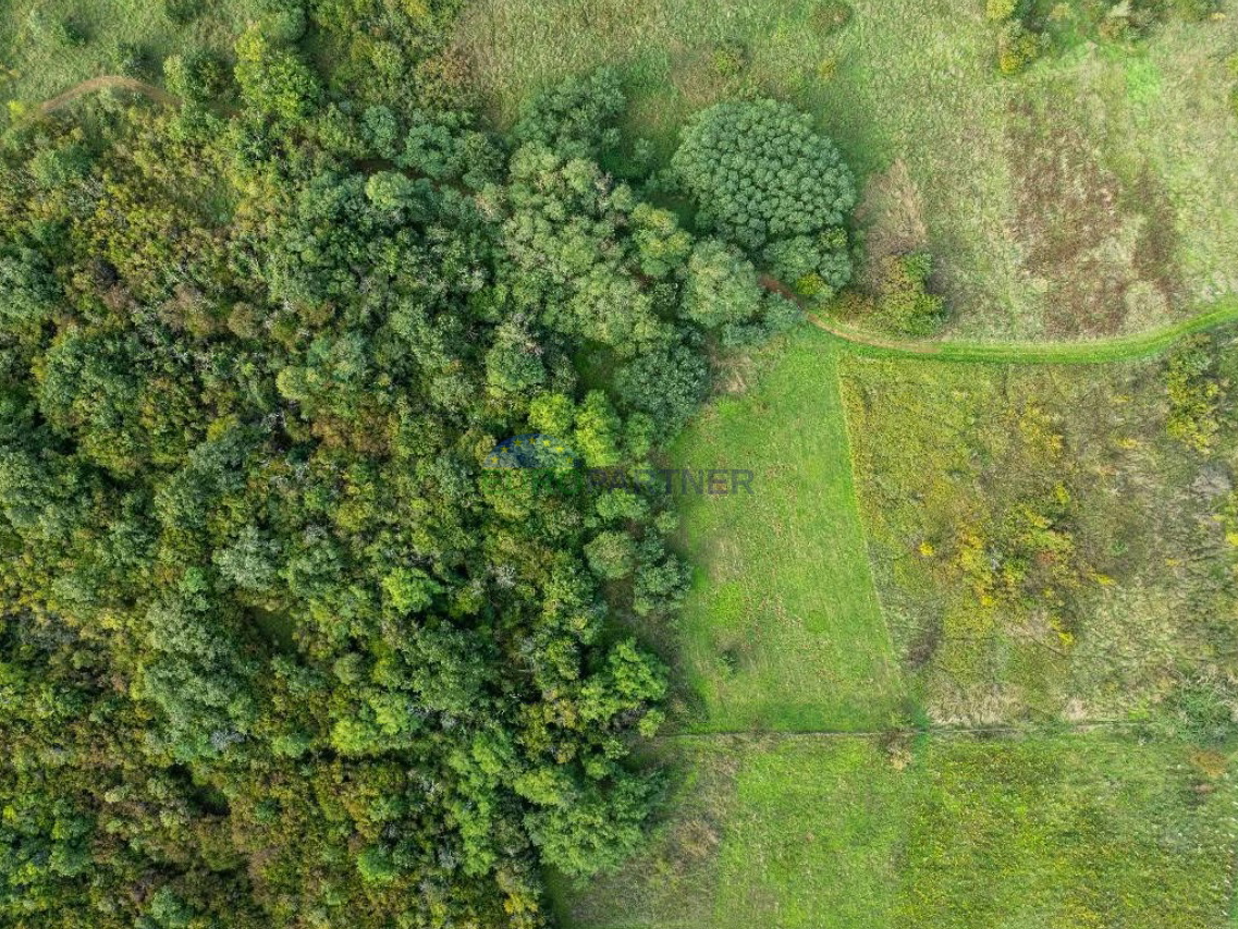 Istra, Poreč, terreno agricolo in posizione attraente