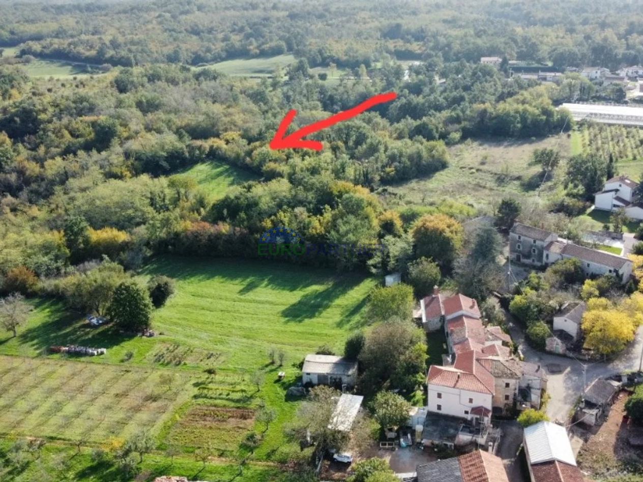 Istria, Višnjan, building land in the vicinity of Višnjan