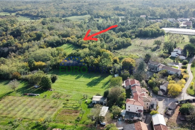 Istria, Višnjan, building land in the vicinity of Višnjan