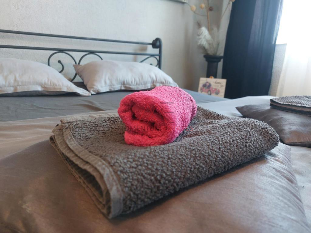 Ku&cacute;a sa 3 stana i poslovnim prostorom